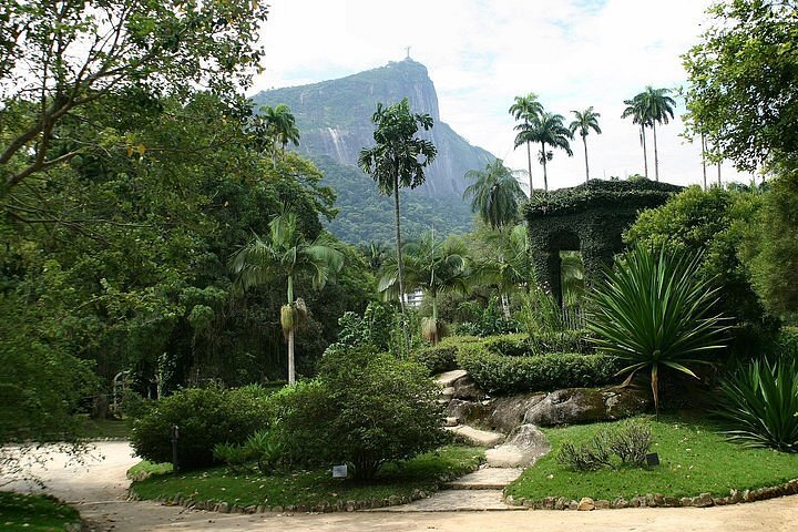 The iconic imperial palm avenue at Rio de Janeiro Botanical Garden (Jardim Botânico)