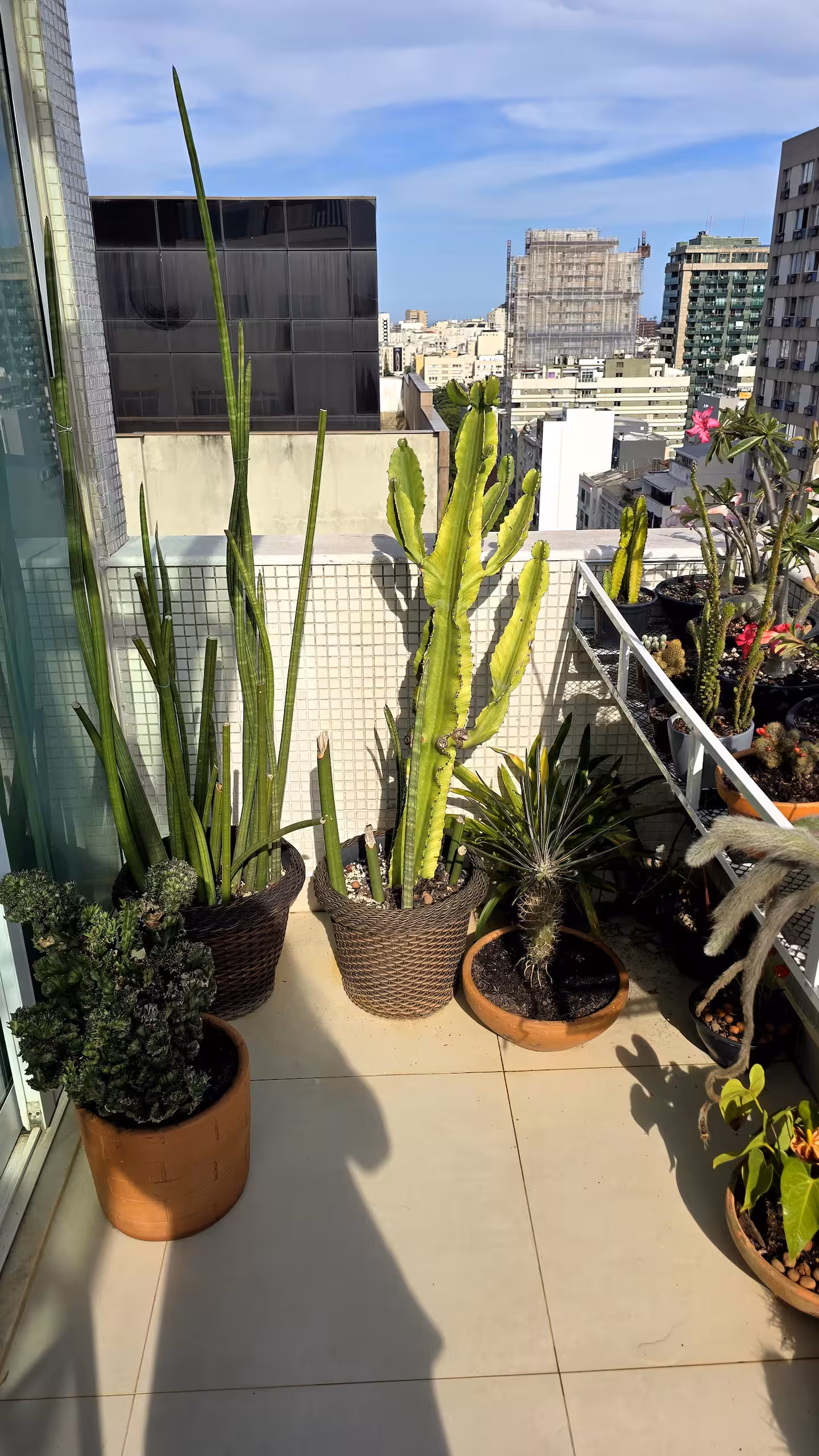 Botanical terrace garden